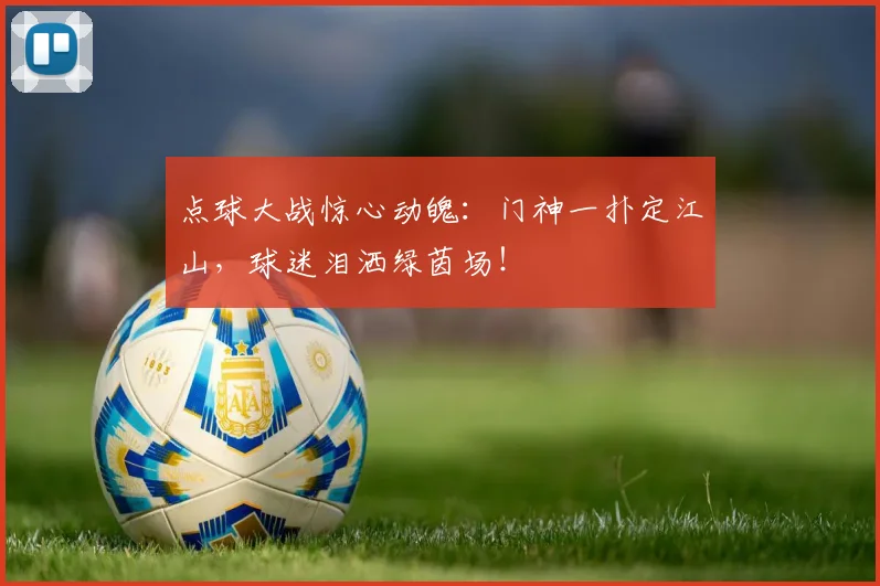 点球大战惊心动魄：门神一扑定江山，球迷泪洒绿茵场！