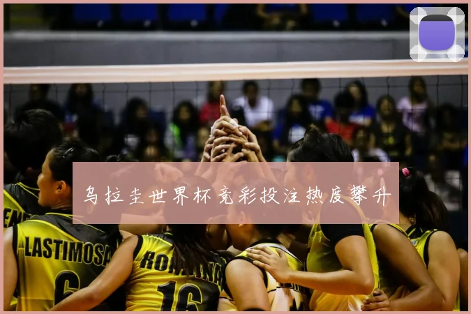 乌拉圭世界杯竞彩投注热度攀升